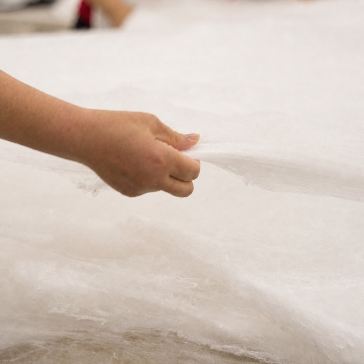 Hand-pulled mulberry silk being separated into a continuous layer